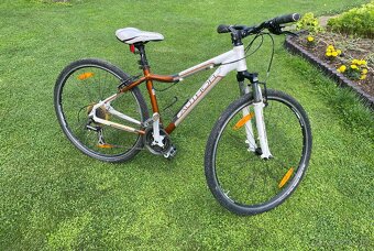 Bicykel dámsky Author - 3