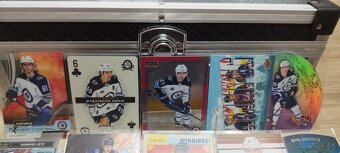Nhl kartičky winnipeg jets lot - 3