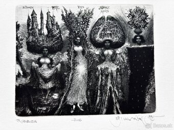 Albin Brunovsky - 3