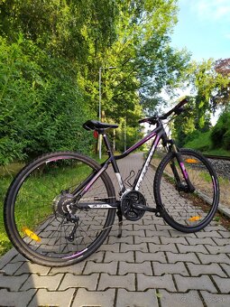 Prodám bicykle Roce Liv - 3