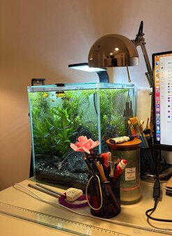 Akvárium 30 l, kompletná výbava, ako nové - 3