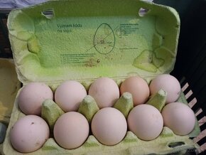 Nasadove vajíčka Green Shell - 3