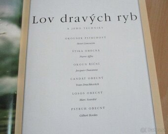 Lov dravých rýb a jeho techniky - 3
