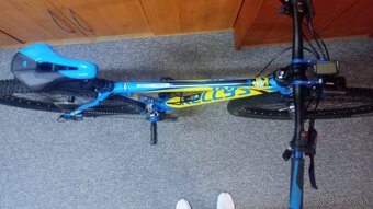 Kellys TNT 70 - 3