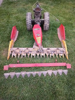 Vari listova kosacka - 3