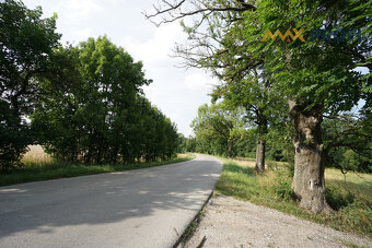 pozemok na predaj: 10 000 m², možnosť zmeny využitia, Turčia - 3