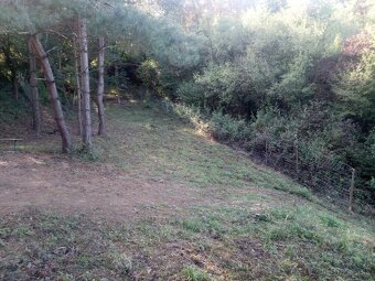 Ponúkame vám na predaj pozemok v katastri obce Banka - 3