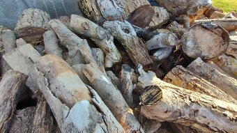 Predam palivove drevo - 3