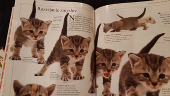 Spoznaj svoju mačku - Dr. Bruce Fogle - 3