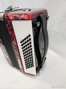 Akordeon delicia junior 60basovy - 3