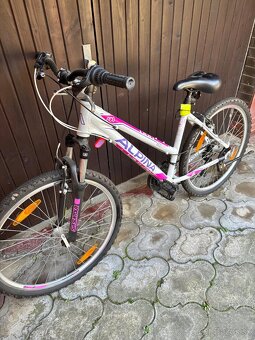 Dievčenský-dámsky bicykel - 3