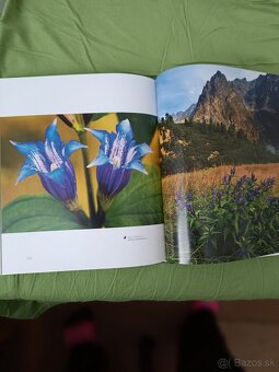 Kniha TATRY a KVETY - ako nová - 3