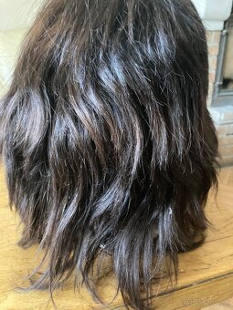 Parochňa z pravých vlasov - 3