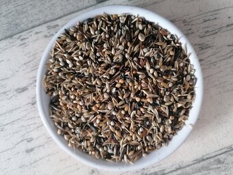 8kg Versele Laga Prestige Blattner Goldfinch - 3