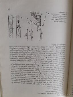 Predám - 3