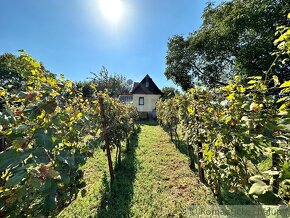 Viničný domček s vinohradom nad malebnou dedinkou Michal - 3