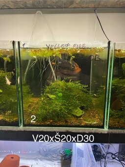 Za symbolickú cenu 20€ všetko - 3