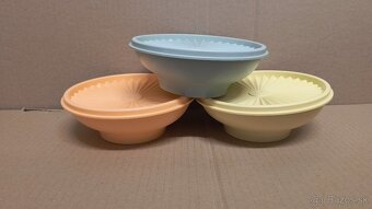 Tupperware Astro misy - 3