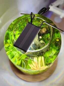 Mini akvarium 10l - 3