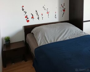 Prenajom 1,5 izb. byt v Ruzinove - 3