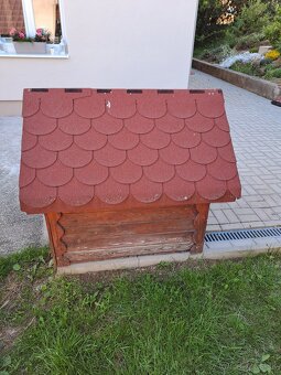 Psia búda s pelechom - 3