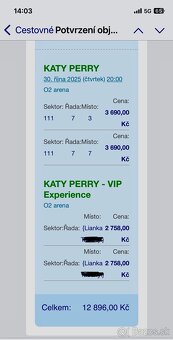 KATY PERRY VIP + KATYCAT SUPERFAN SEATED PACKAGE - 3