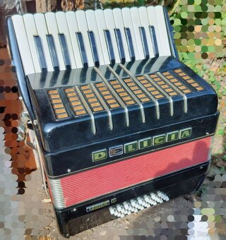 Akordeon Harmonika Delicia Junior - 3