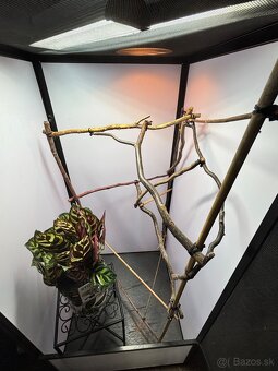 Terarium pre chameleóny - 3