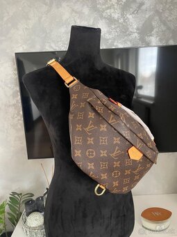 Louis Vuitton Bumbag - 3
