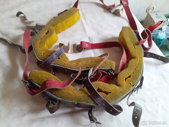 Predam retro zahradku (starozitnost) - 3