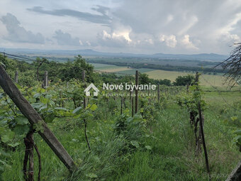 Predaj, vinica, viničný dom - Belá(N070-14-FRAD) - 3