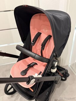 Bugaboo fox cub - 3