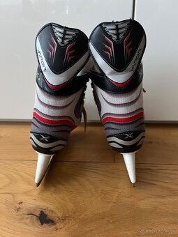 Korcule Bauer 32 - 3