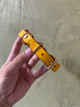 Obojok z pravej kože pre psa - 3