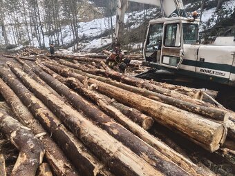 Woody 60 harvestor - 3