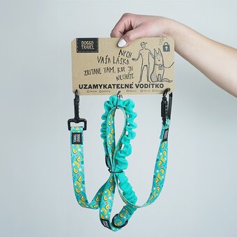 Uzamykatelné vodítko + obojok - 3