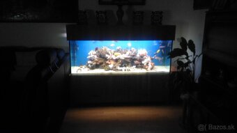 Veľké akvárium - 3