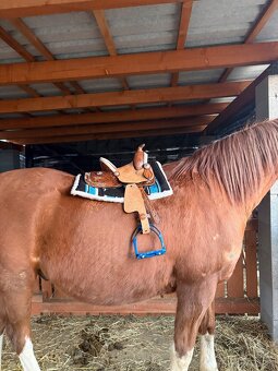 Detské Westernové sedlo - 3