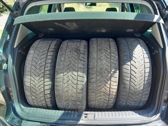 Tiguan - 3