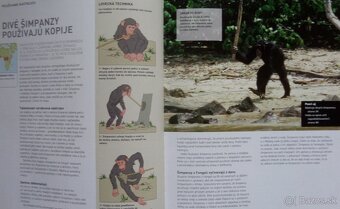 Géniovia sveta zvierat - 3