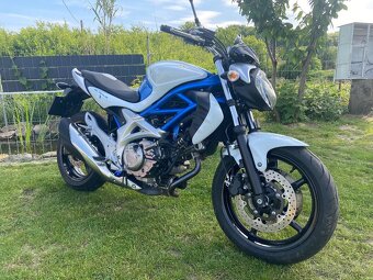 Suzuki SFV Gladius 650 - 3