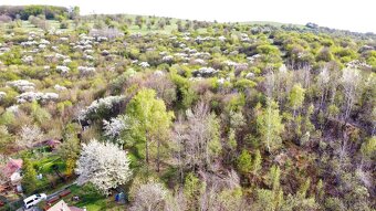 ZÁHRADNY POZEMOK S KRÁSNYM VÝHĽADOM, BYSTER - 3