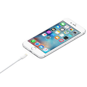 Apple kábel MXLY2ZM/A Lightning - USB-A, 1m - 3