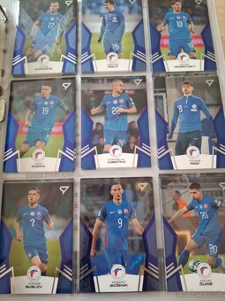 Slovenski sokoli 2024 - 3
