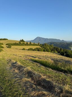 Ponúkam na predaj seno - 3