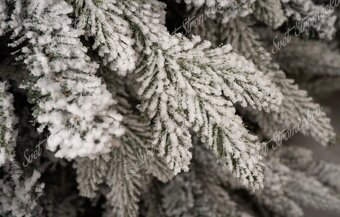 Vianocny stromcek 180cm - zasnezeny - 3