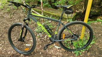 CTM Rein 3.0 29" - 3