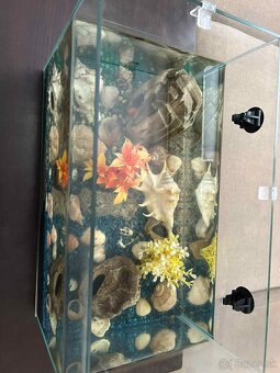 Akvárium + príslušenstvo - 3