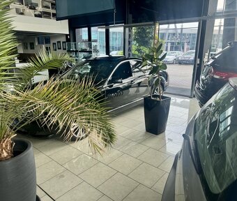 Mercedes S 350 L CDI BlueTEC 4matic - 3