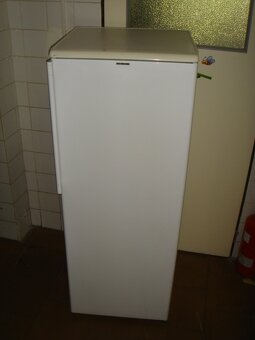 mraznička - 3